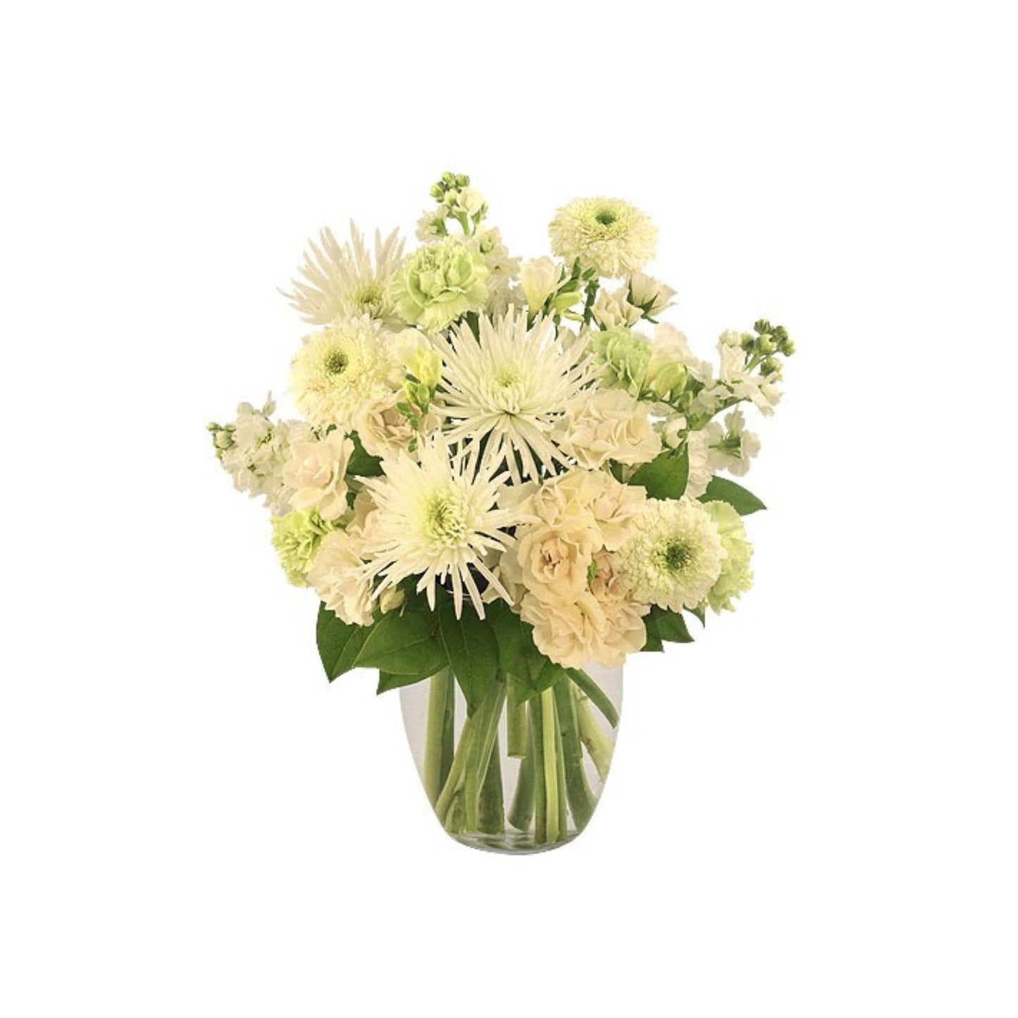FLORAL FLURRIES Fresh White Christmas Flower Vase