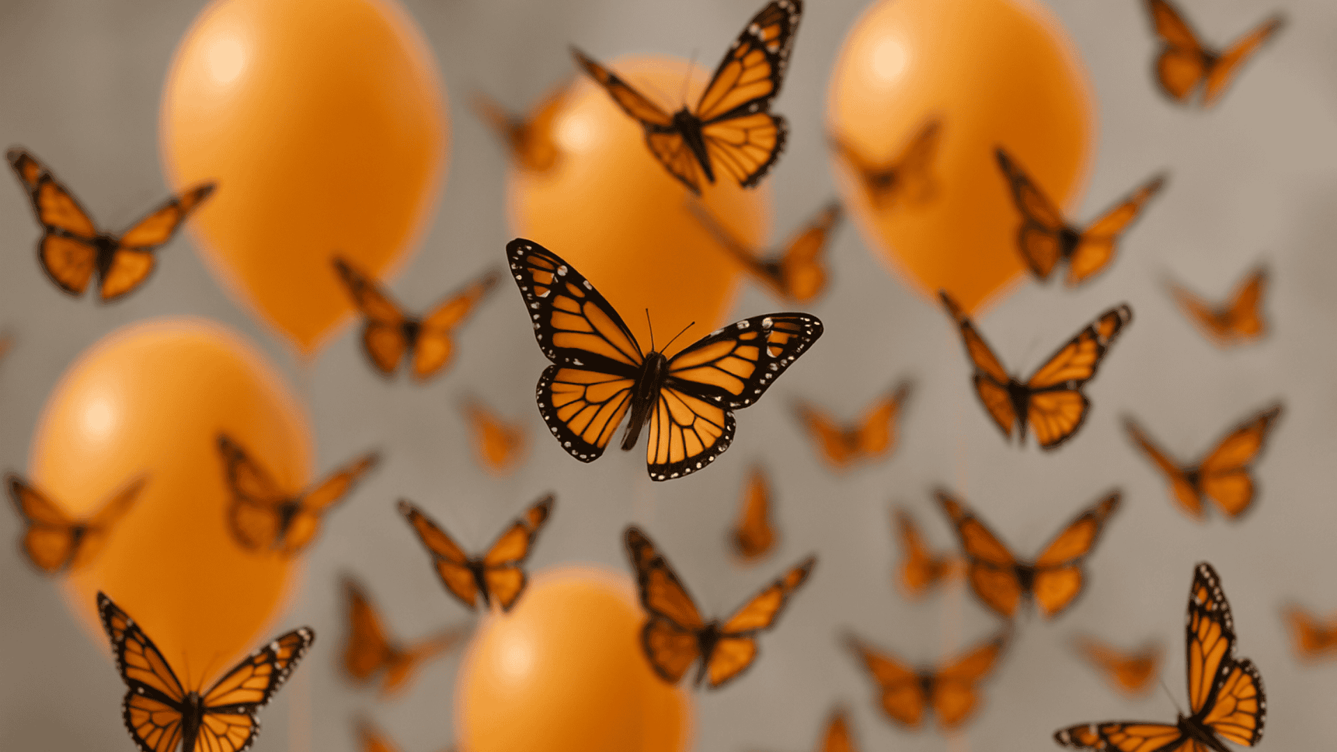 Butterflies and orange balloons on a gray background