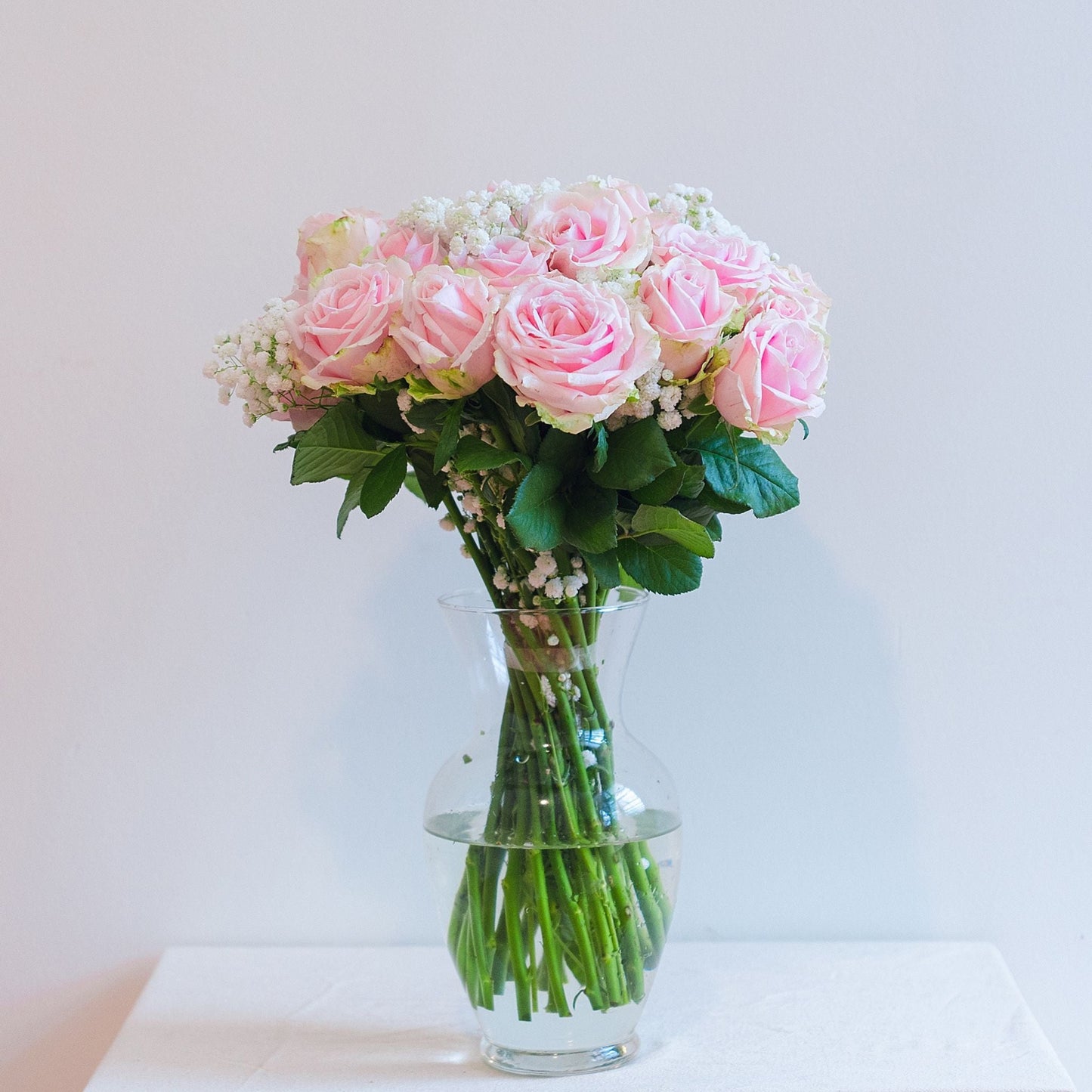Baby Breath Starry Touch Roses