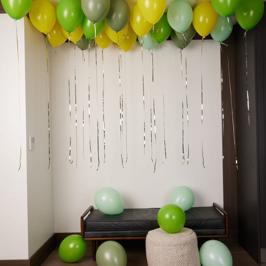 Dino Super Birthday Package