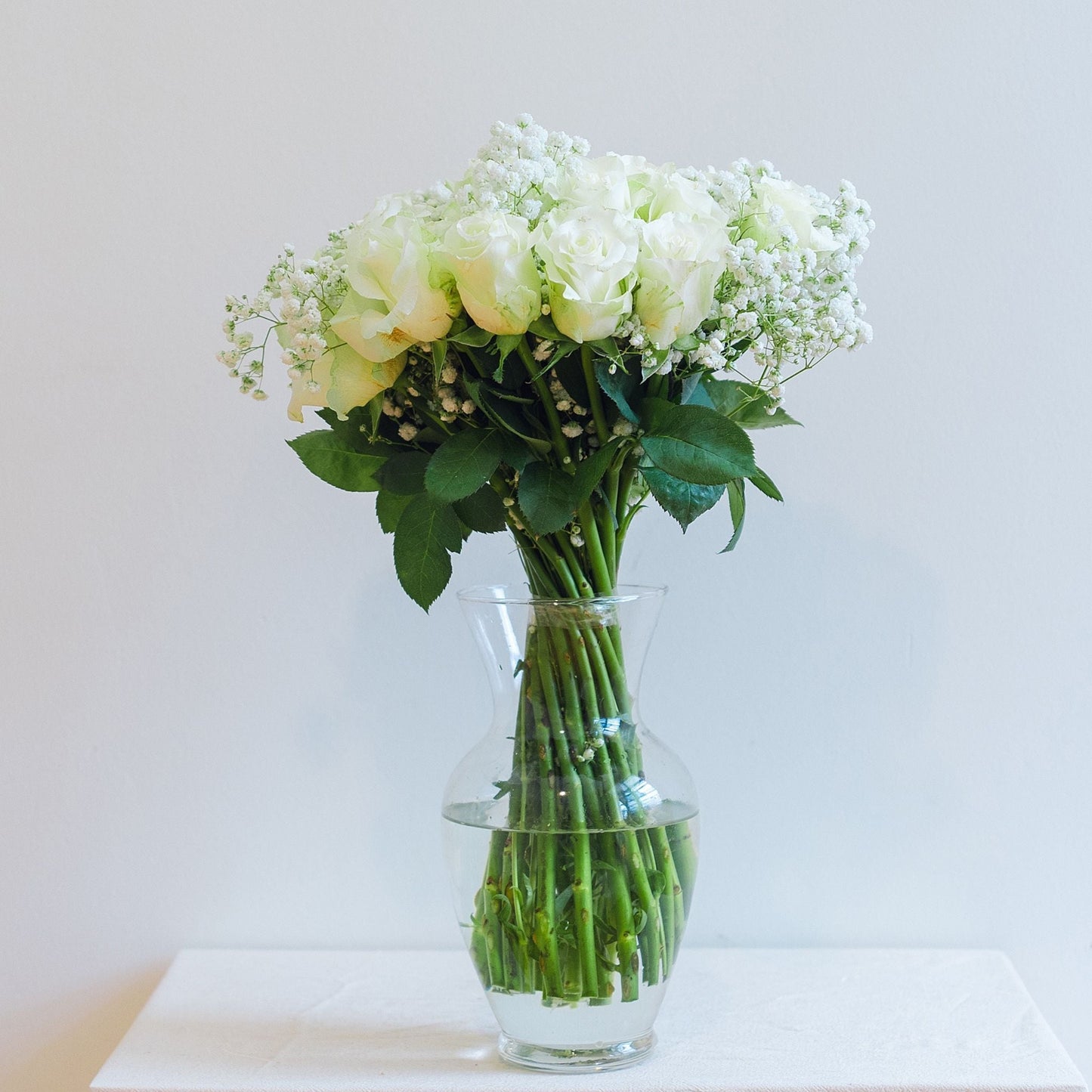 Baby Breath Starry Touch Roses